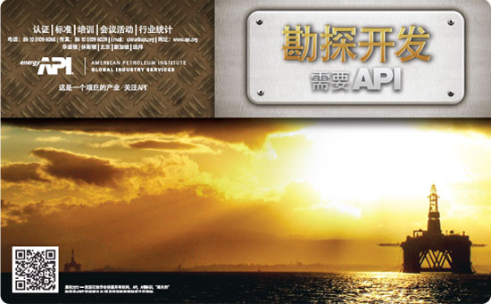 API Assists Chinese Enterprises to Enter World Market(图1) API Assists Chinese Enterprises to Enter World Market(图1)